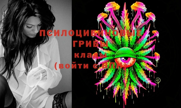 стаф Алексин